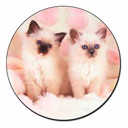 Birman Cat Kittens Fridge Magnet Printed Full Colour