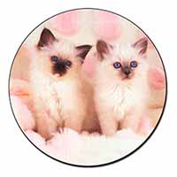 Birman Cat Kittens Fridge Magnet Printed Full Colour