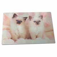 Large Glass Cutting Chopping Board Birman Cat Kittens