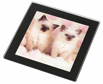 Birman Cat Kittens Black Rim High Quality Glass Coaster