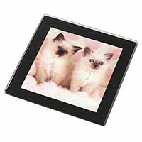 Birman Cat Kittens Black Rim High Quality Glass Coaster
