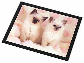 Birman Cat Kittens Black Rim High Quality Glass Placemat