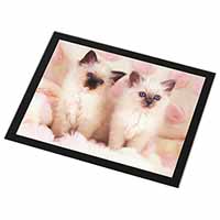 Birman Cat Kittens Black Rim High Quality Glass Placemat