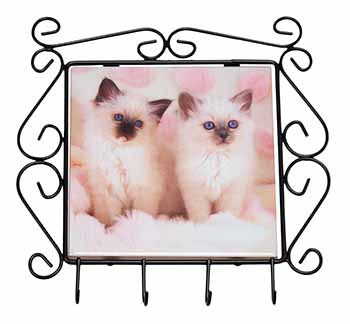 Birman Cat Kittens Wrought Iron Key Holder Hooks