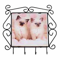 Birman Cat Kittens Wrought Iron Key Holder Hooks