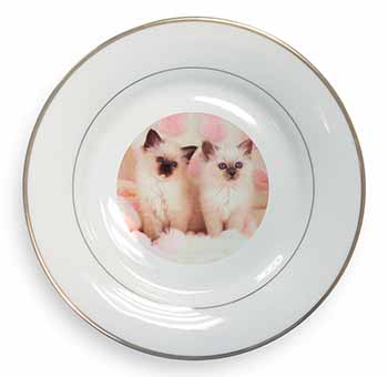 Birman Cat Kittens Gold Rim Plate Printed Full Colour in Gift Box