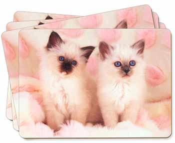 Birman Cat Kittens Picture Placemats in Gift Box