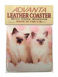 Birman Cat Kittens Single Leather Photo Coaster