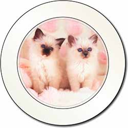 Birman Cat Kittens Car or Van Permit Holder/Tax Disc Holder