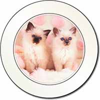 Birman Cat Kittens Car or Van Permit Holder/Tax Disc Holder