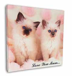 Birman Kittens Cat 