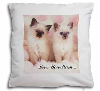 Birman Kittens Cat 