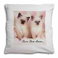 Birman Kittens Cat 