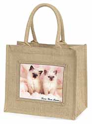 Birman Kittens Cat 