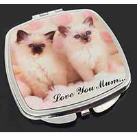 Birman Kittens Cat 