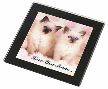 Birman Kittens Cat 