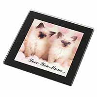 Birman Kittens Cat 