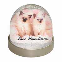 Birman Kittens Cat 