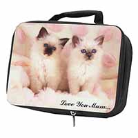 Birman Kittens Cat 