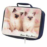 Birman Kittens Cat 