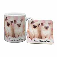 Birman Kittens Cat 