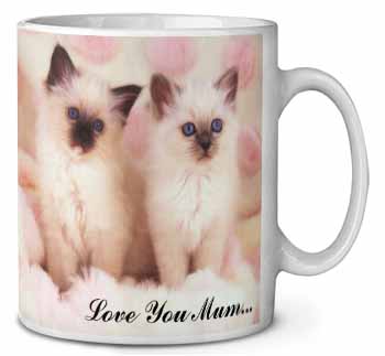 Birman Kittens Cat 