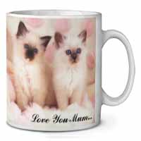 Birman Kittens Cat 