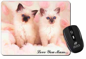 Birman Kittens Cat 