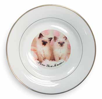 Birman Kittens Cat 
