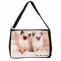 Birman Kittens Cat 