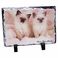 Birman Kittens Cat 