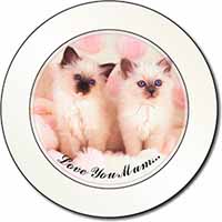 Birman Kittens Cat 