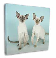 Siamese Cats Square Canvas 12"x12" Wall Art Picture Print