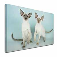 Siamese Cats Canvas X-Large 30"x20" Wall Art Print