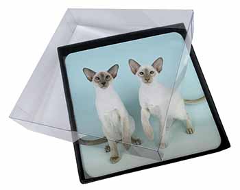4x Siamese Cats Picture Table Coasters Set in Gift Box