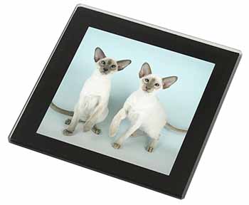 Siamese Cats Black Rim High Quality Glass Coaster