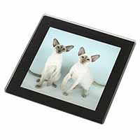 Siamese Cats Black Rim High Quality Glass Coaster