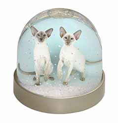 Siamese Cats Snow Globe Photo Waterball