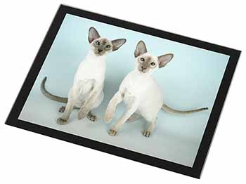 Siamese Cats Black Rim High Quality Glass Placemat