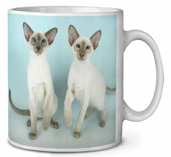 Siamese Cats Ceramic 10oz Coffee Mug/Tea Cup