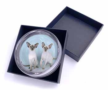 Siamese Cats Glass Paperweight in Gift Box