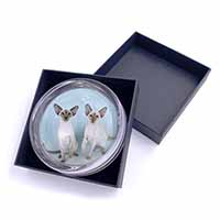 Siamese Cats Glass Paperweight in Gift Box