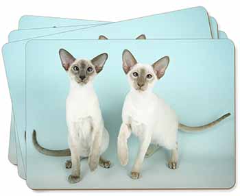 Siamese Cats Picture Placemats in Gift Box