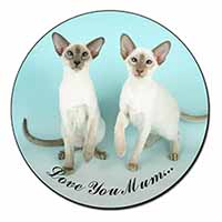 Siamese Cats 