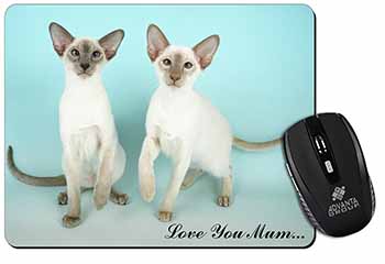 Siamese Cats 