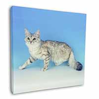 Siberian Silver Cat Square Canvas 12"x12" Wall Art Picture Print