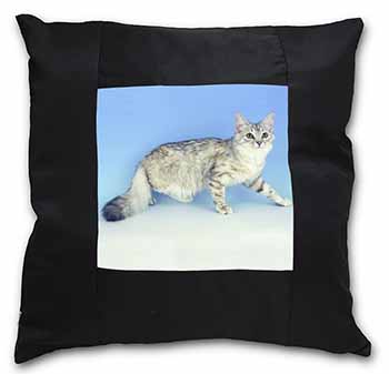 Siberian Silver Cat Black Satin Feel Scatter Cushion