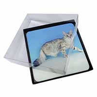 4x Siberian Silver Cat Picture Table Coasters Set in Gift Box - Advanta Group®
