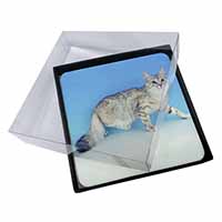 4x Siberian Silver Cat Picture Table Coasters Set in Gift Box