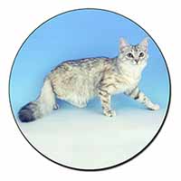 Siberian Silver Cat Fridge Magnet Printed Full Colour